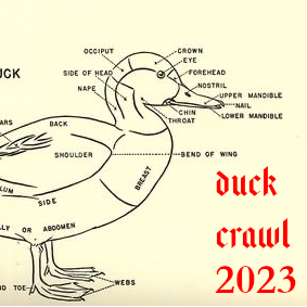 Duck Crawl 2023 – Bugs on a Duck